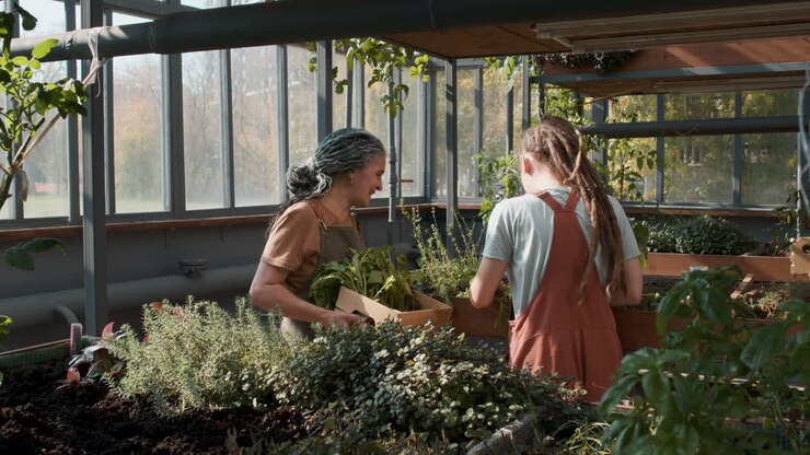 Variety of plants in a garden?>