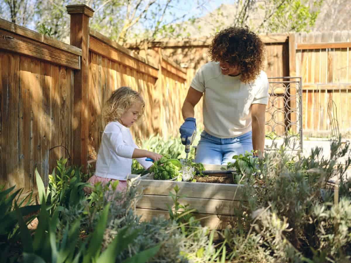 Healthy soil in a garden?>